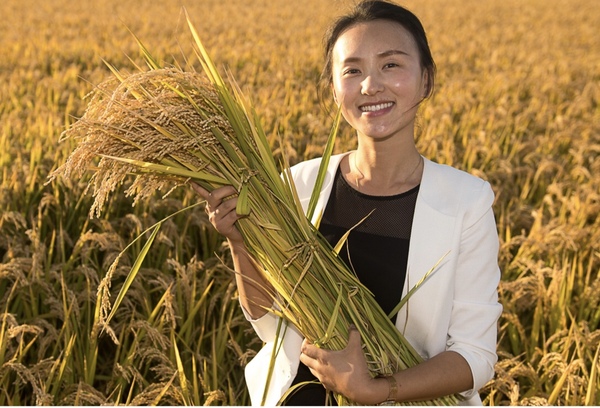 C20190326002-zx8 C20190326002-zx8