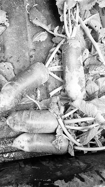 1428919945035801112 1428919945035801112