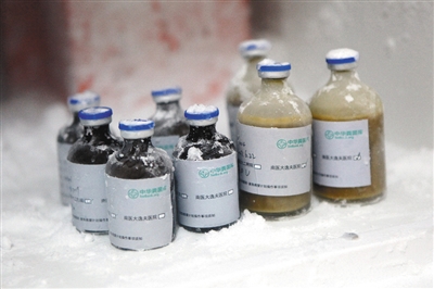 12610238740595396788 12610238740595396788