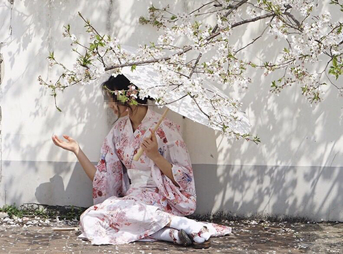 武大回应赏樱冲突未提和服 学生称有人穿和服拍照