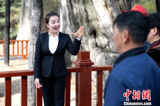 惠琼在黄帝陵景区讲解。　田进 摄