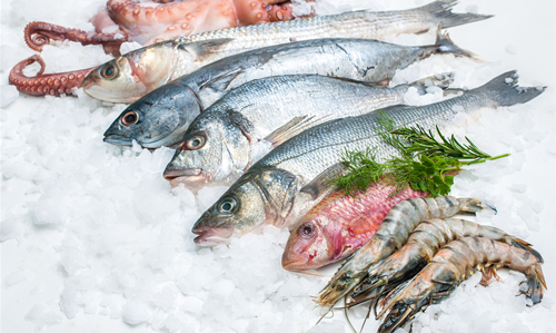 20190404105945_84892 20190404105945_84892