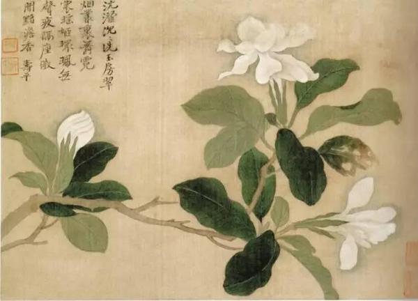 C20190404002-zx12 C20190404002-zx12