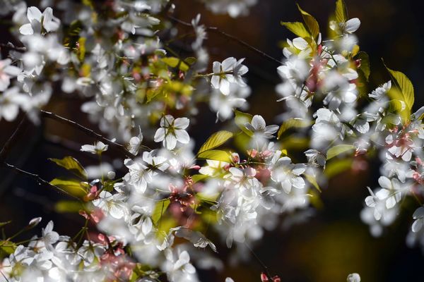 QQ图片20190405105908