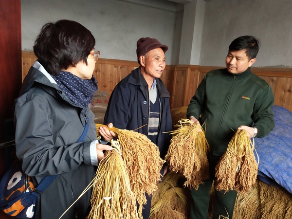 微信图片_20190407210115 微信图片_20190407210115