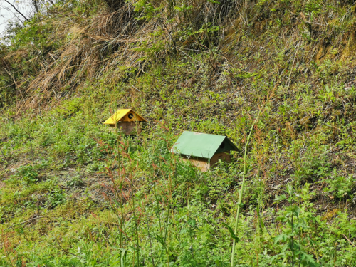 点击进入下一页