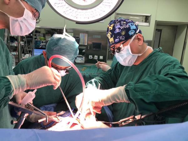 C20190417002-zx6 C20190417002-zx6