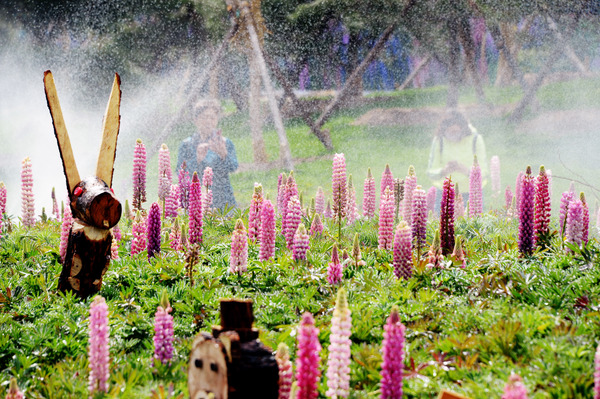 微信图片_20190419130424 微信图片_20190419130424