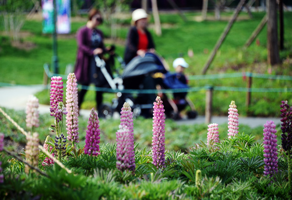 微信图片_20190419130440 微信图片_20190419130440