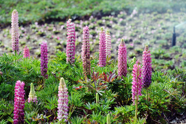 微信图片_20190419130448 微信图片_20190419130448