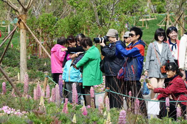 微信图片_20190419130456 微信图片_20190419130456