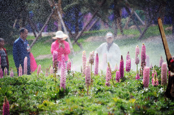 微信图片_20190419130513 微信图片_20190419130513