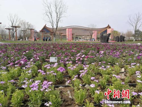 点击进入下一页