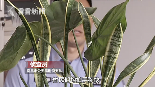 村支书变黑老大横行乡里 涉案金额达1.5亿元