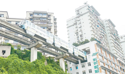 1124417746_15562344862201n 1124417746_15562344862201n