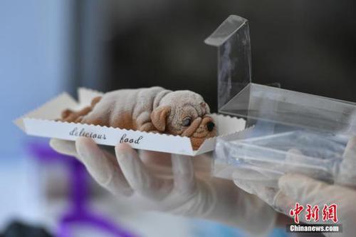 点击进入下一页