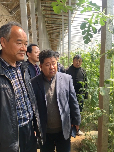 B20190429002-zx5 B20190429002-zx5