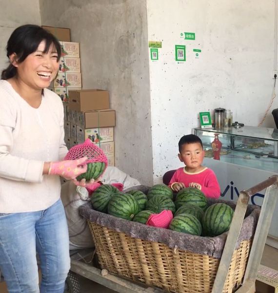 B20190429003-zx5 B20190429003-zx5