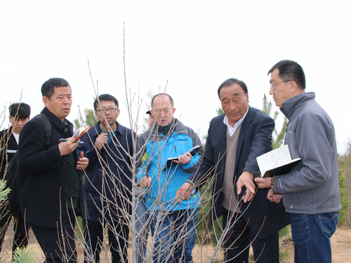 记者采访石光银 记者采访石光银