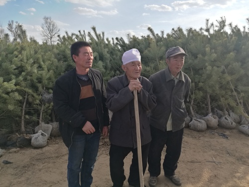 郭成旺父、子孙三代治沙人 郭成旺父、子孙三代治沙人