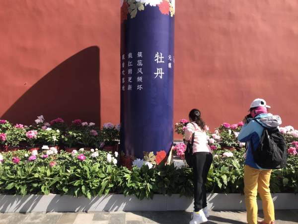 微信图片_20190430225606 微信图片_20190430225606