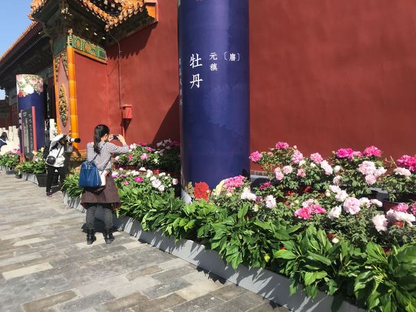 微信图片_20190430225929 微信图片_20190430225929