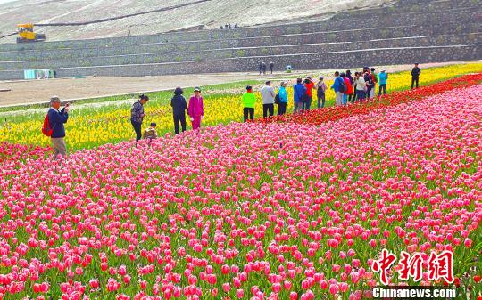 “短途周边游”受追捧内地民众乐享“慢生活”