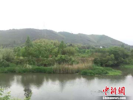 徐阶墓所在地 长兴宣传部提供 摄 徐阶墓所在地 长兴宣传部提供 摄