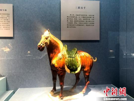 图为展出的唐三彩马。　崔佳明 摄