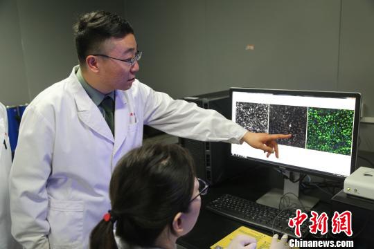 讨论药物毒性高通量评价结果。　戴欣 摄