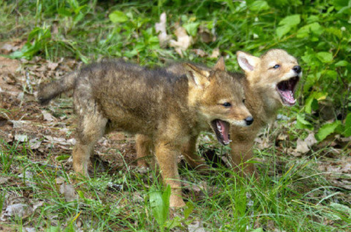 1557884177511940.png 微信截图_20190515093314.png