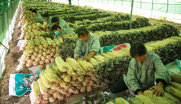 1558055471(1) 1558055471(1)