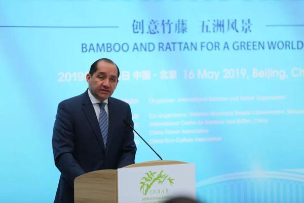 国际竹藤组织理事会主席国厄瓜多尔驻华大使卡洛斯·拉雷亚 国际竹藤组织理事会主席国厄瓜多尔驻华大使卡洛斯·拉雷亚