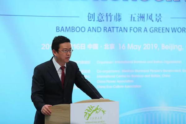 中国外交部国际经济司副司长黄昳扬 中国外交部国际经济司副司长黄昳扬