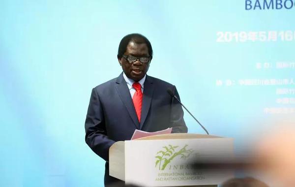 国际竹藤组织总干事穆秋姆 国际竹藤组织总干事穆秋姆