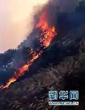 微信图片_20190522152707