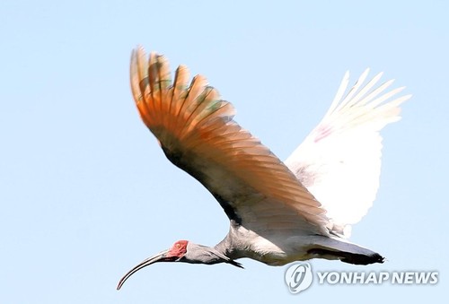 1558512304226730.jpg 1558512304226730.jpg