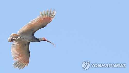 1558512357238043.jpg 1558512357238043.jpg