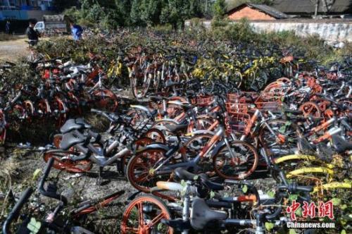 资料图：某地共享单车“坟场”。<a target='_blank' href='http://www.chinanews.com/'>中新社</a>记者 任东 摄