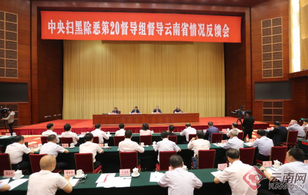 中央扫黑除恶督导组:彻查孙小果案 办成铁案