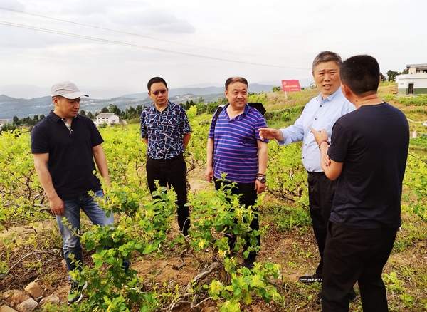 C20190524001-zx3 C20190524001-zx3