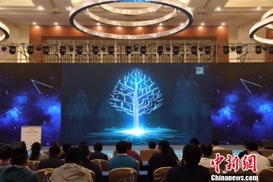 图为《2019中国地方政府数据开放报告》暨“中国开放数林指数”发布会现场。衣琼 摄