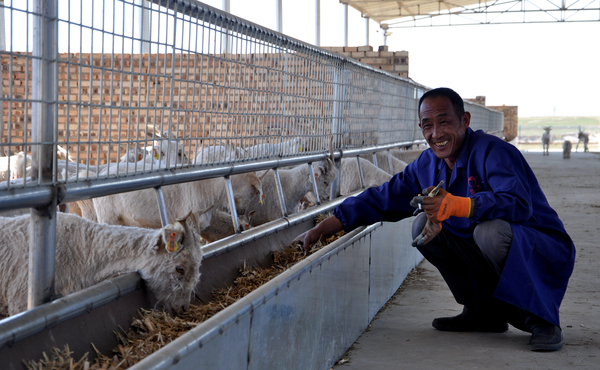 C20190531001-zx6 C20190531001-zx6