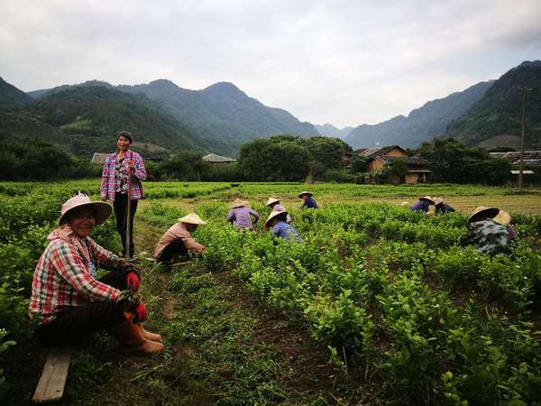 C20190531002-zx7 C20190531002-zx7