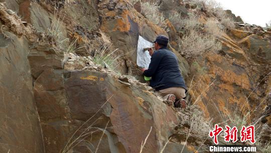 行走在河西走廊的岩画守望者：揭开“牧民涂鸦”的神秘历史