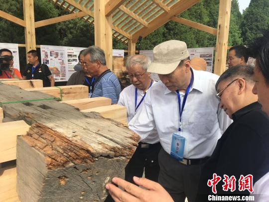 图为文物及古建筑专家在昭西陵实地考察。　白云水 摄