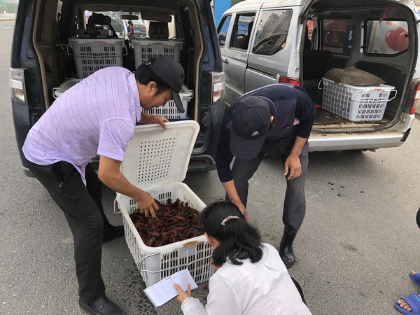 C20190611001-zx5 C20190611001-zx5