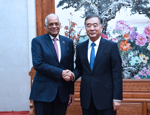 6月18日，全国政协主席汪洋在北京人民大会堂会见埃及议长阿里。 新华社记者 饶爱民 摄