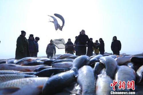 资料图：博斯腾湖冬捕现场。 年磊 摄