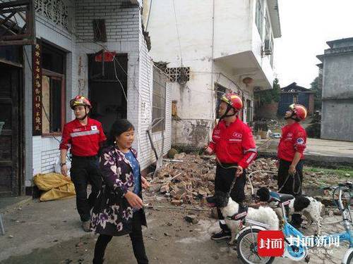 两只“汪星人”替妈上宜宾前线救灾 入夜已累瘫了